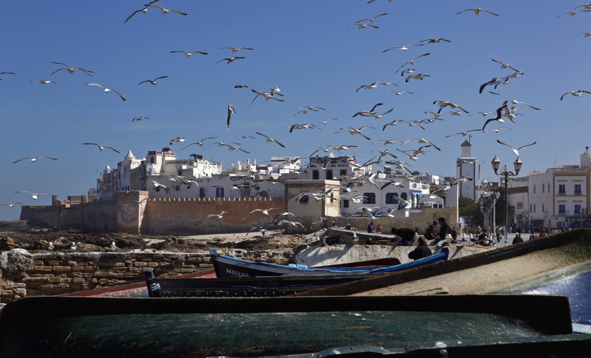 Photo de Cinco Dias : Essaouira, véritable joyau de la côte atlantique du Maroc