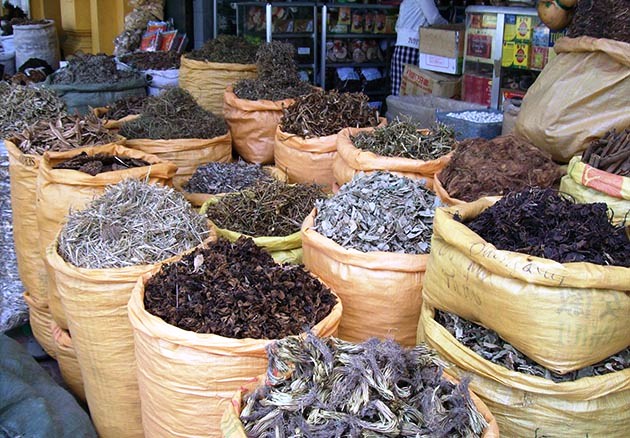 Photo de Marrakech : Pour une valorisation des plantes aromatiques et médicinales