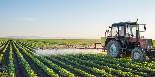 Photo de Impact positif des récentes pluies sur la campagne agricole