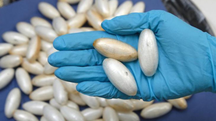 Photo de Aéroport Mohammed V: 980 g de cocaïne extraits des intestins d’un Brésilien