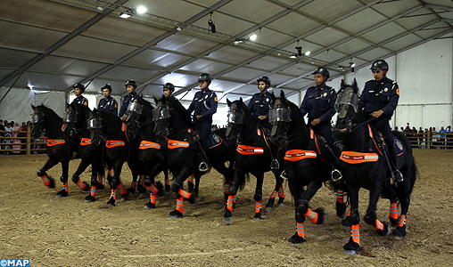 Photo de La cavalerie de la DGSN au salon « Cheval passion » d’Avignon