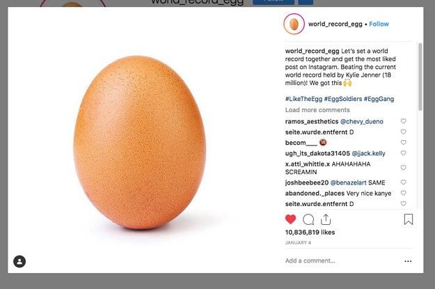 Photo de Un œuf, star d’Instagram ?