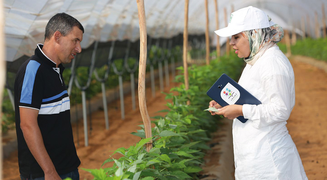 Photo de Programme “Al Moutmir”. OCP connecte les agriculteurs