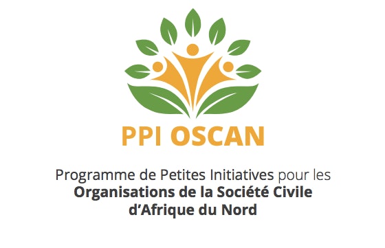 Photo de Société civile. 10 projets marocains s’illustrent à l’international