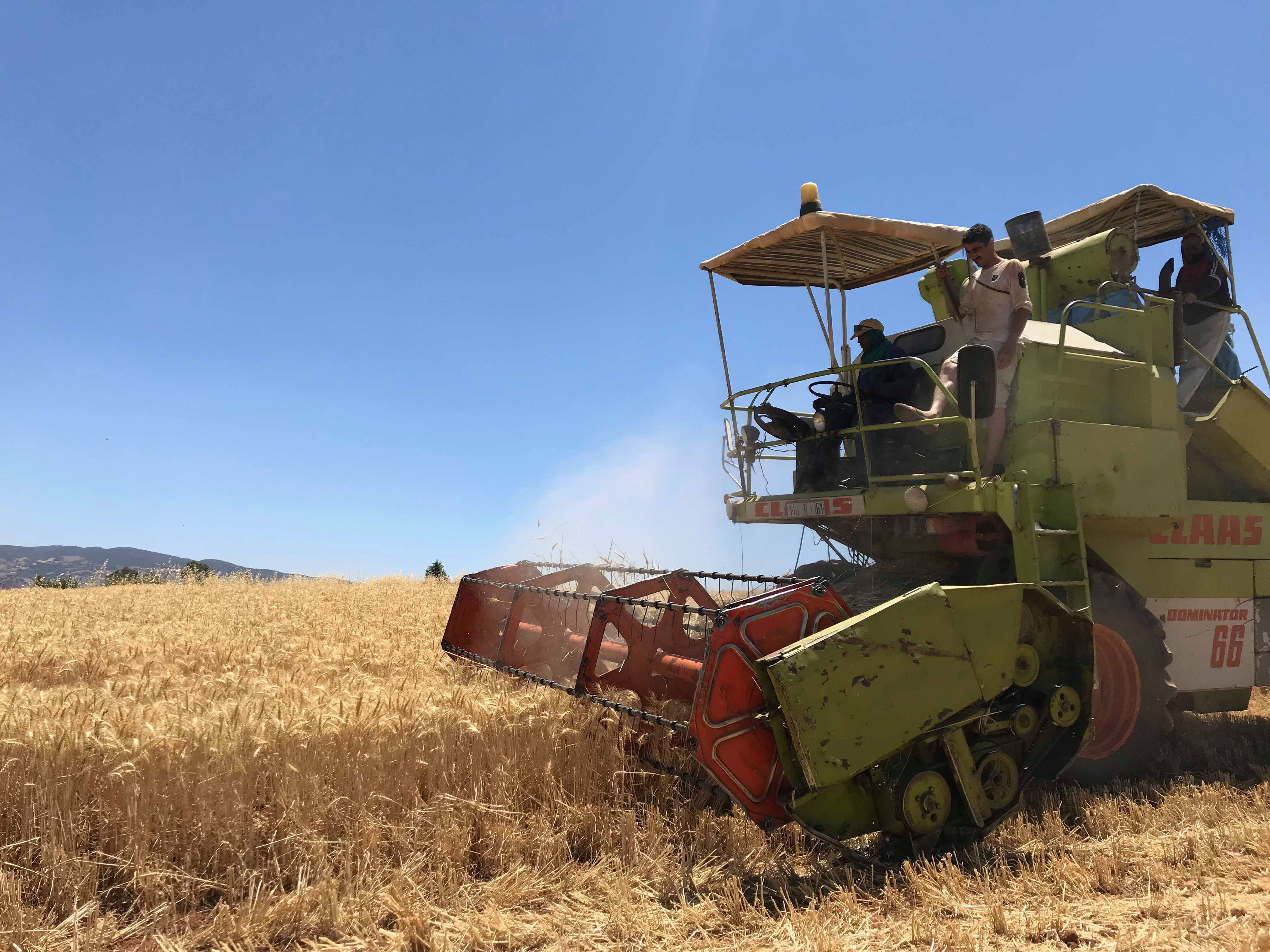 Photo de Al Moutmir. Les agriculteurs tirent mieux leur épingle du jeu