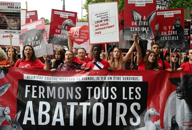 Photo de « Fermons les abattoirs! »: Défilé à Paris contre la maltraitance animale