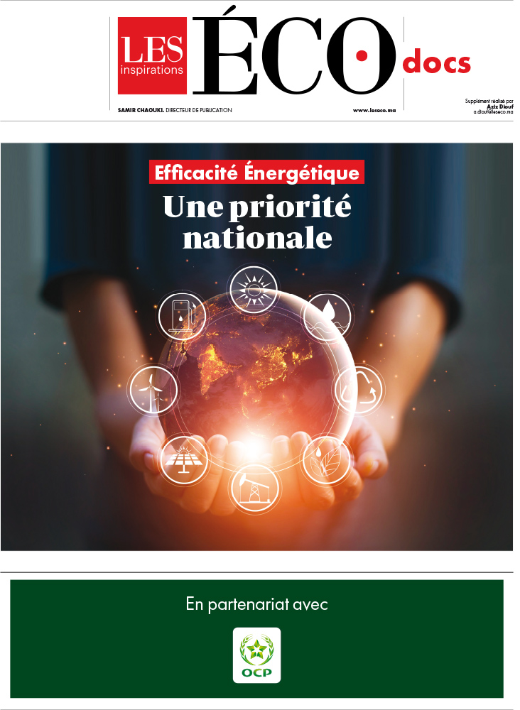 Photo de Efficacité énergétique. Une priorité nationale