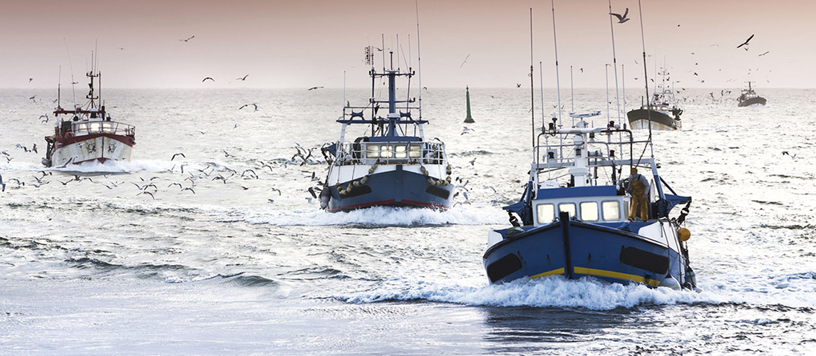 Photo de Pêche en Méditerranée. Les engagements de Malte évalués
