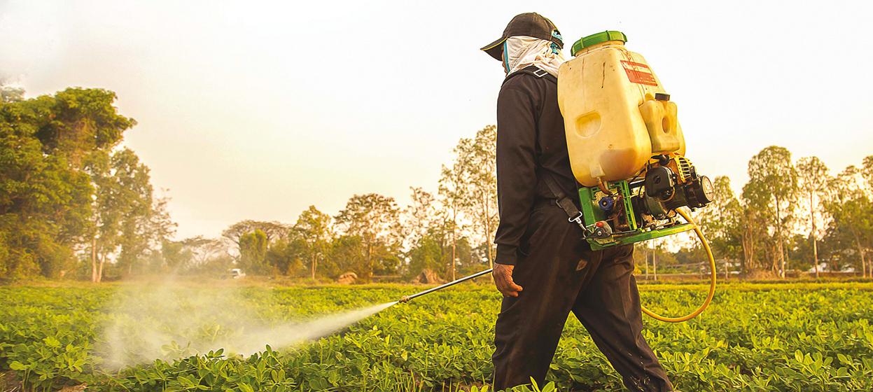 Photo de Pesticides agricoles. À quand l’interdiction du chlorpyrifos ?