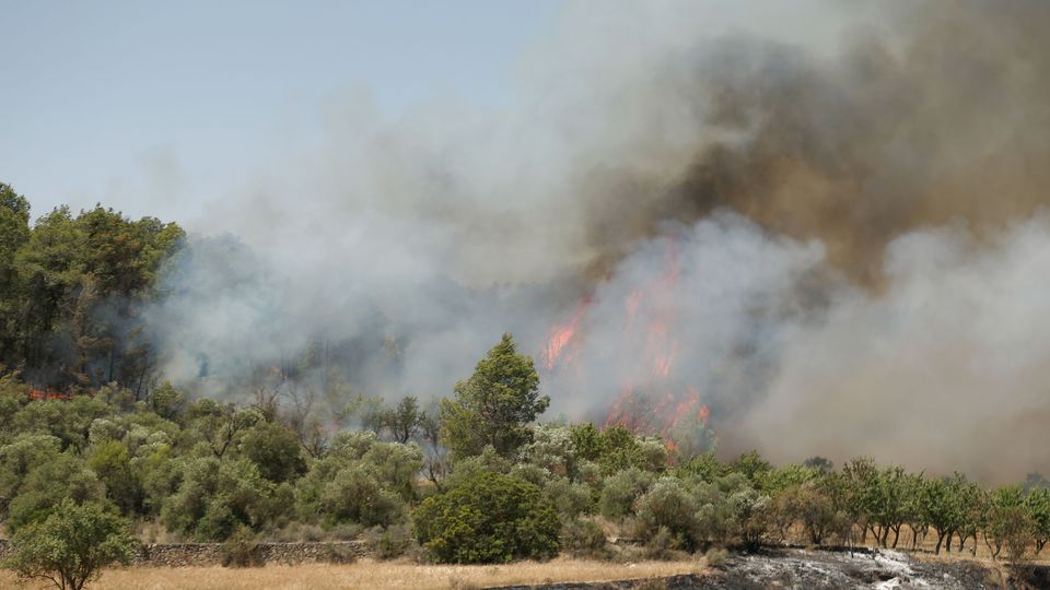 Photo de Catalogne : incendies incontrôlables dus à la canicule