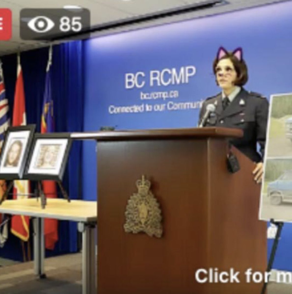 Photo de Canada. La police s’explique sur un double homicide avec un filtre chat