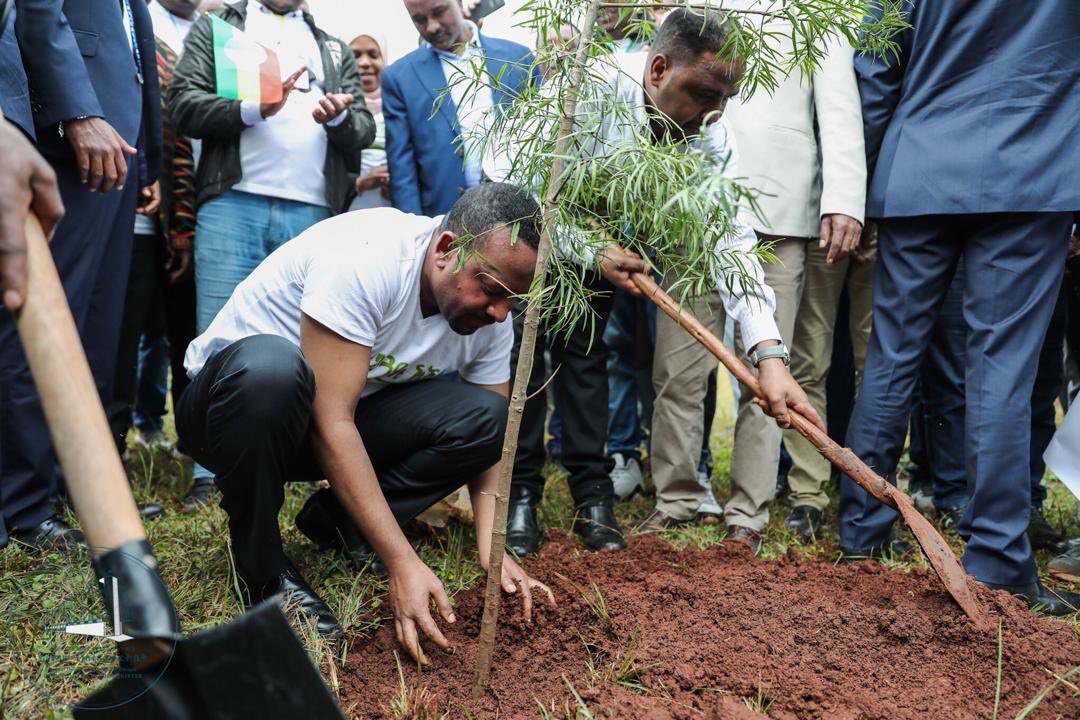 Photo de Un record, l’Ethiopie plante 353 millions d’arbres en une seule journée