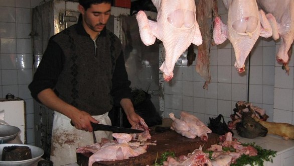 Photo de Abattage de volailles. Akhannouch dit stop aux pratiques illégales