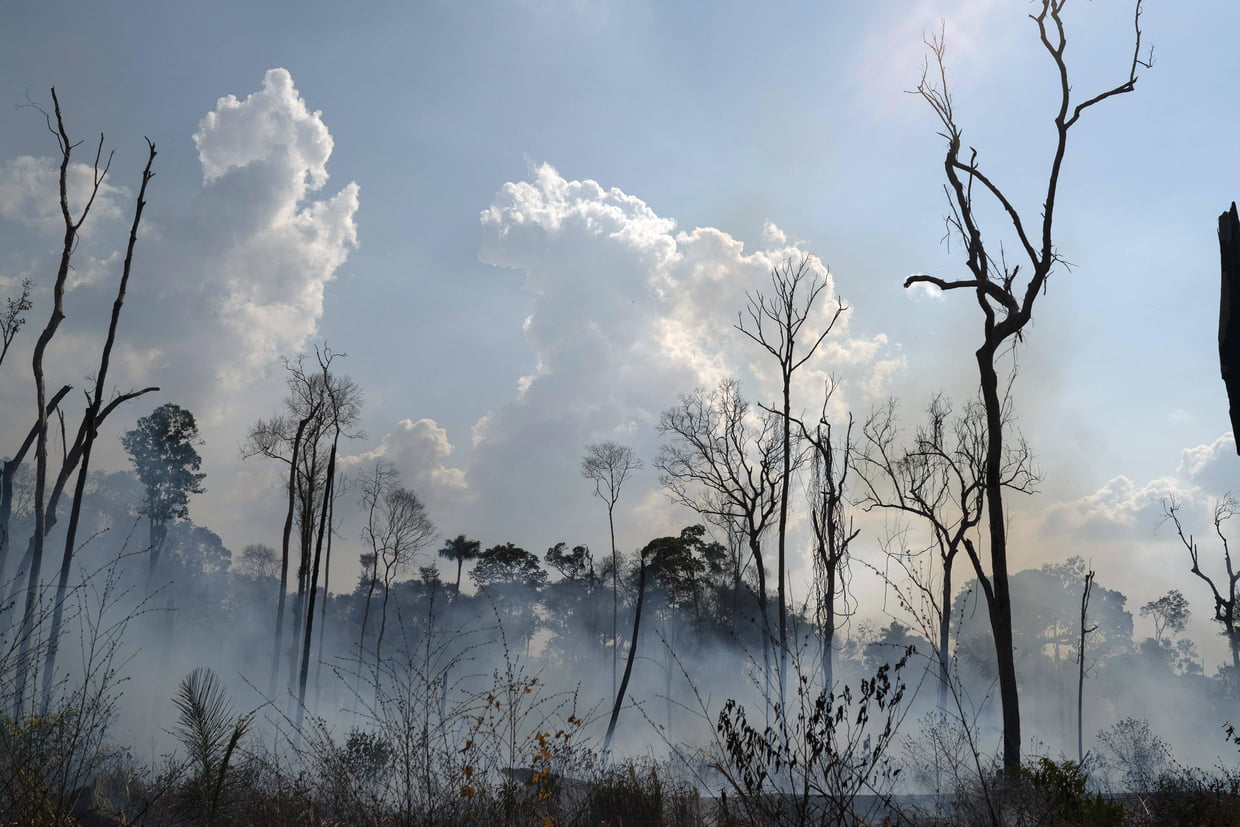 Photo de Une progression inquiétante des incendies en Amazonie