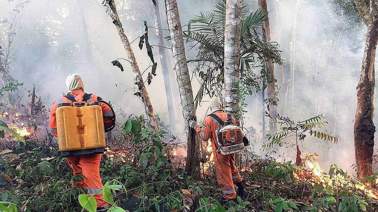 Photo de Incendies en Amazonie: Bolsonaro sous pression internationale