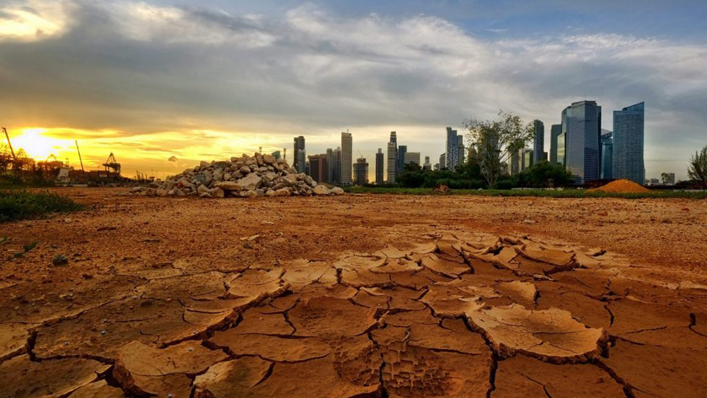Photo de Changement climatique. Les sols de la planète sont épuisés !
