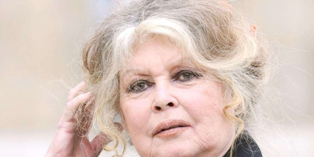 Photo de Aïd Al Adha. La fondation Brigitte Bardot dénonce la “barbarie”