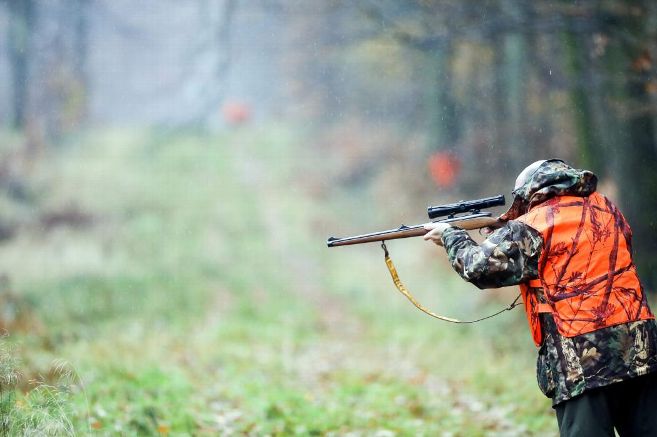 Photo de La saison de chasse 2019-2020 est ouverte