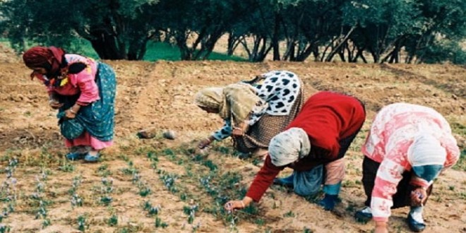 Photo de Les femmes rurales, « symbole de résilience » selon Antonio Guterres