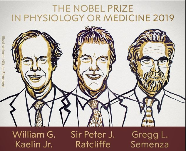 Photo de Le Prix Nobel de médecine revient à deux Américains et un Britannique