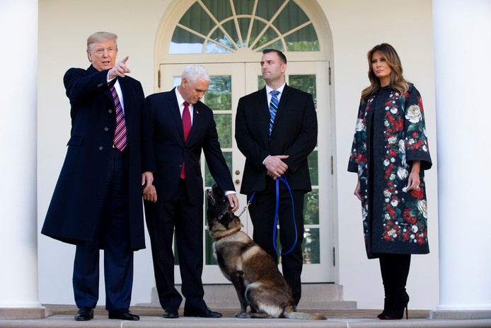 Photo de Trump décore le chien héros du raid contre Baghdadi