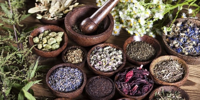 Photo de Martil: Appel à la création d’une plate-forme scientifique spécialisée dans les plantes médicinales et aromatiques