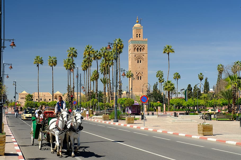 Photo de Marrakech- Safi: le projet de budget du Conseil régional est approuvé