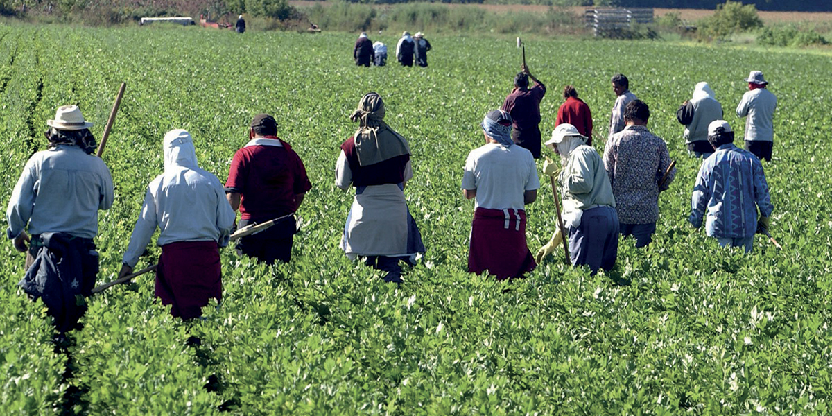 Photo de Agriculture : faut-il craindre le rush de la main-d’œuvre marocaine vers l’Europe ?