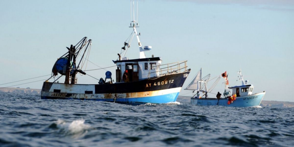Photo de Dakhla : les armateurs industriels de la pêche pélagique maintiennent leur capacité productive