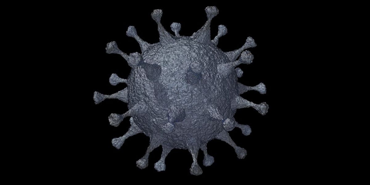 Photo de Coronavirus: Imperium Media fournit de la data en open source
