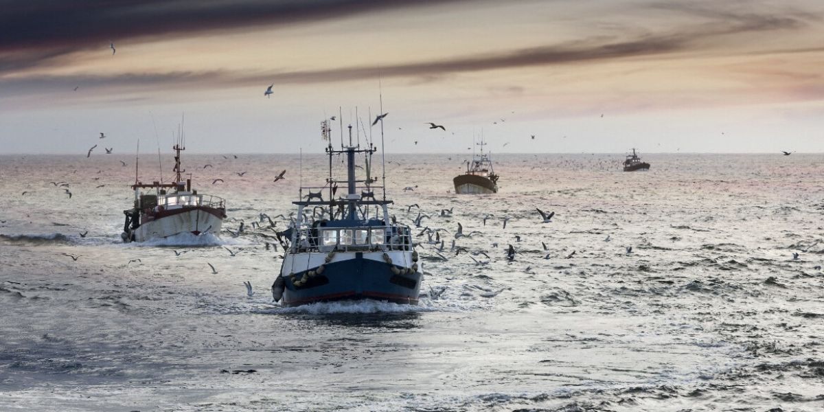 Photo de Accord de pêche Maroc-UE: les bateaux espagnols sont de retour