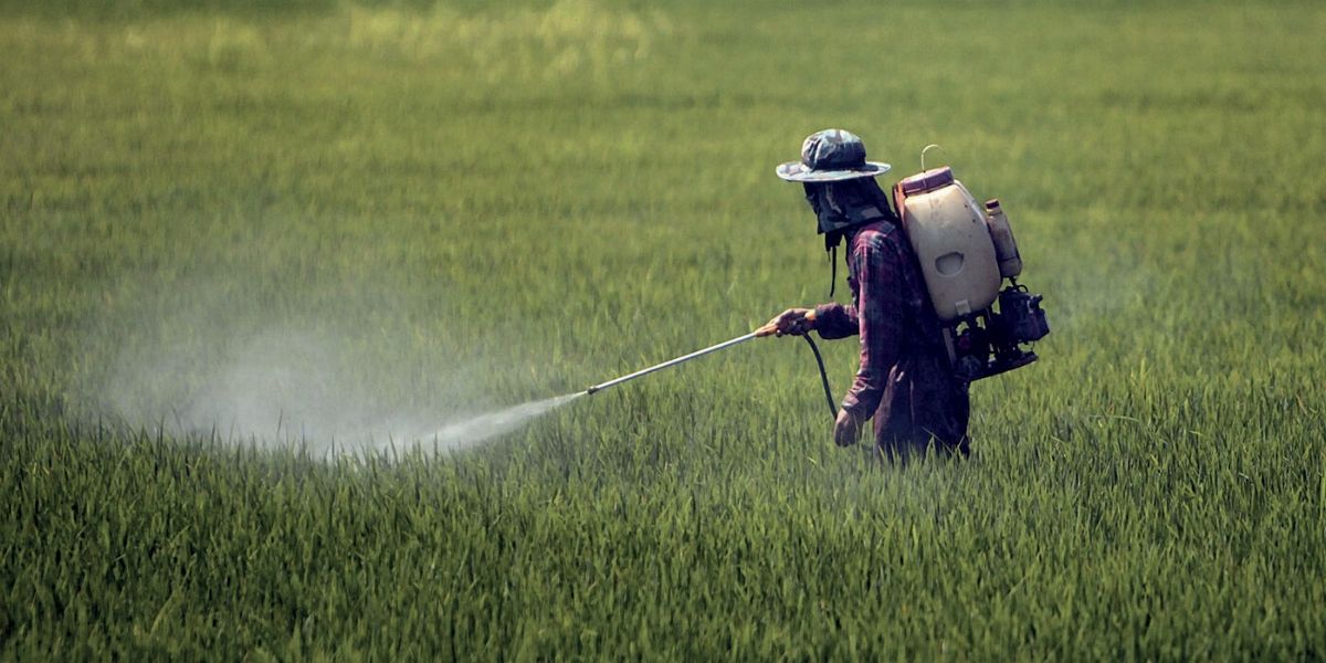 Photo de Droits de douane: les importateurs de pesticides dans le flou