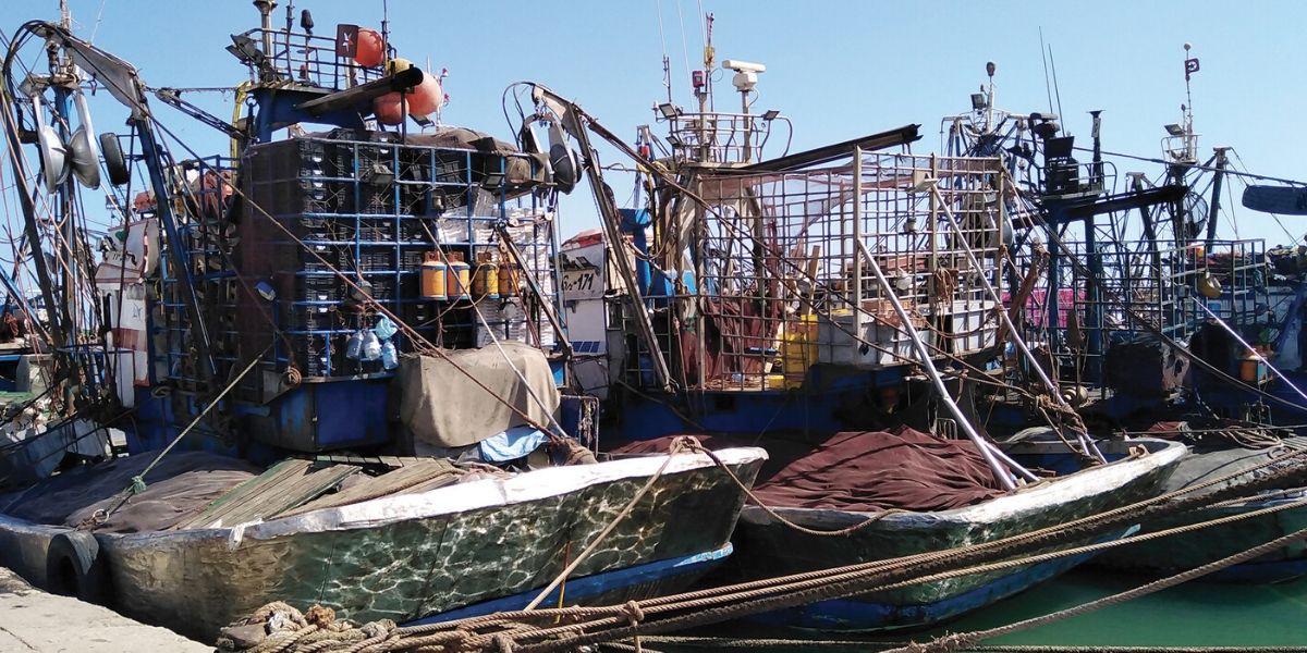 Photo de Maroc-Russie : l’accord de pêche reconduit