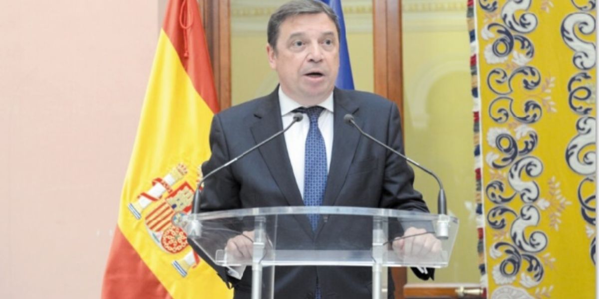 Photo de Les ONG dénoncent l’opportunisme du gouvernement espagnol