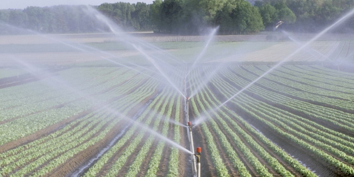 Photo de Irrigation de la zone de Saiss : les projets avancent à grands pas