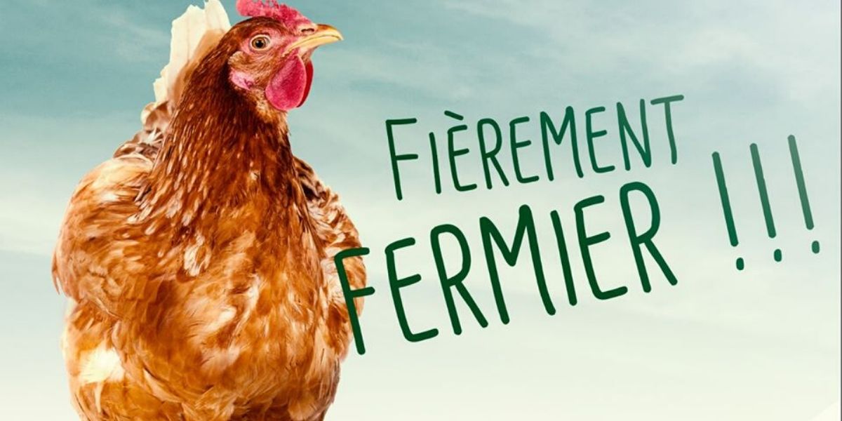 Photo de Marque de poulet « Vot’santé »: la FISA dénonce l’arnaque