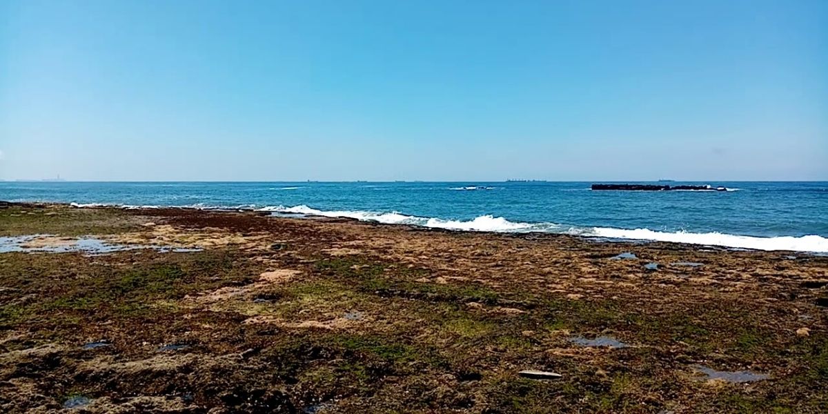 Photo de Rejet d’eaux usées à la plage Paloma: la Société d’aménagement Zenata explique