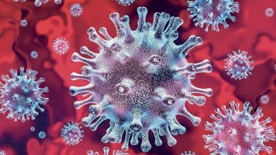 Photo de Coronavirus. Le génome des souches virales est encore stable