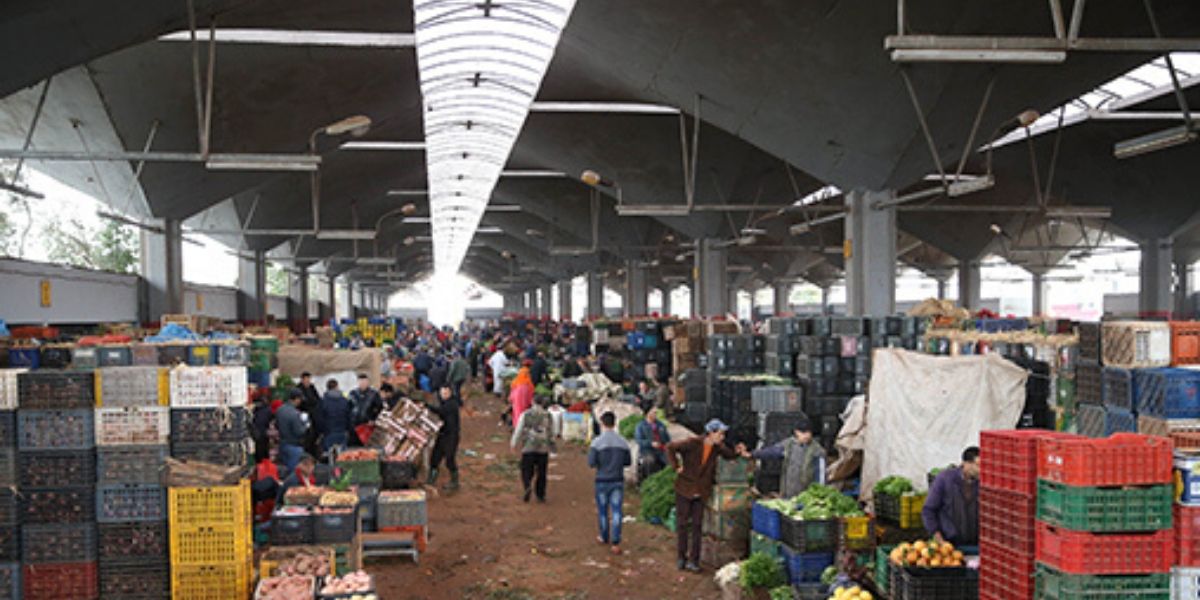 Photo de Souks hebdomadaires, abattoirs et marchés de gros: beaucoup reste à faire