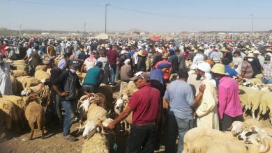 Photo de Aid Al Adha: l’Intérieur sanctionne des souks aux moutons