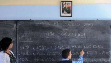 Photo de Officialisation de l’amazigh : les députés esquissent les modalités de déploiement