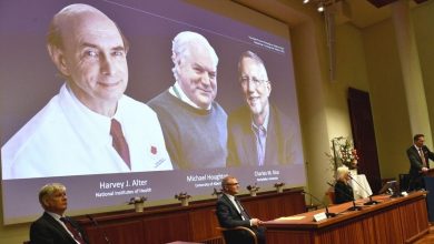 Photo de Prix Nobel de médecine : trois lauréats primés