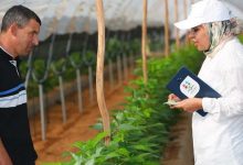 Photo de Al Moutmir : quand les femmes rurales deviennent le moteur d’une agriculture durable