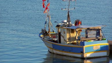 Photo de Pêche côtière et artisanale : les débarquements en recul 