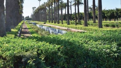 Photo de Casablanca : de nouveaux espaces verts bientôt créés