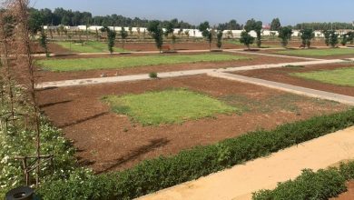 Photo de Fès : le jardin botanique de Oued Fès prend forme
