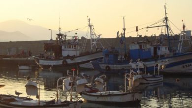 Photo de Produits de la pêche : l’initiative “BlueEconomy” débarque au Maroc