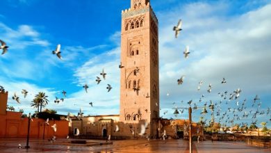 Photo de Marrakech-Safi : plus de 1,2 million de DH injectés par l’INDH depuis 2019
