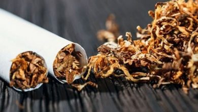 Photo de Global Forum on Nicotine : appel à des alternatives plus sûres et accessibles