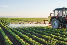 Photo de Agriculture durable : Innovx lance un fonds d’investissement